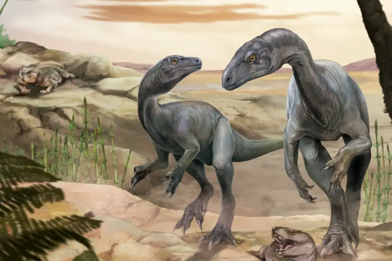 Dinosaur fossil rewrites the story of how sauropods got long necks