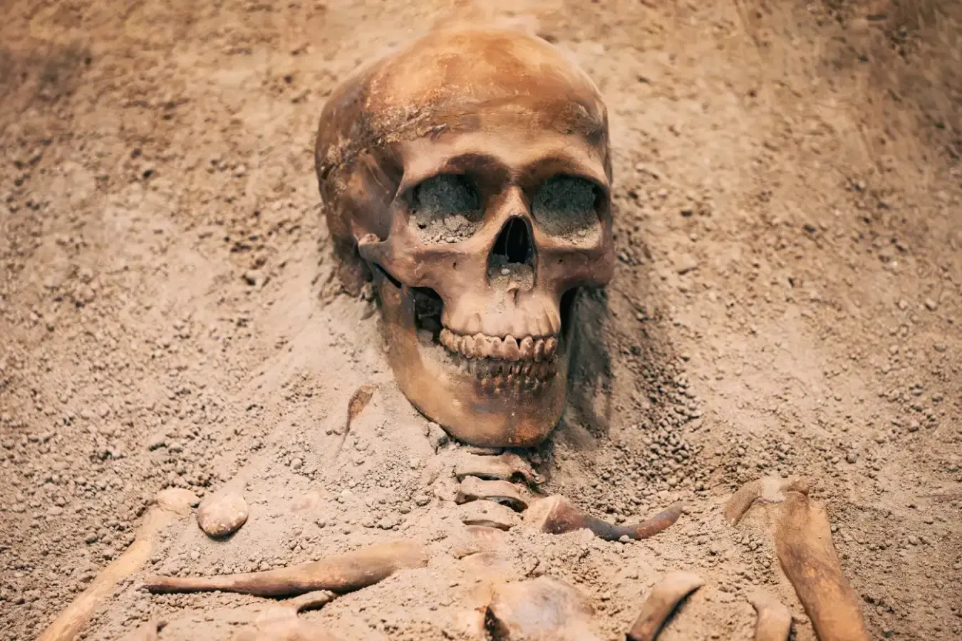 Ancient lead exposure may have influenced how our brains evolved