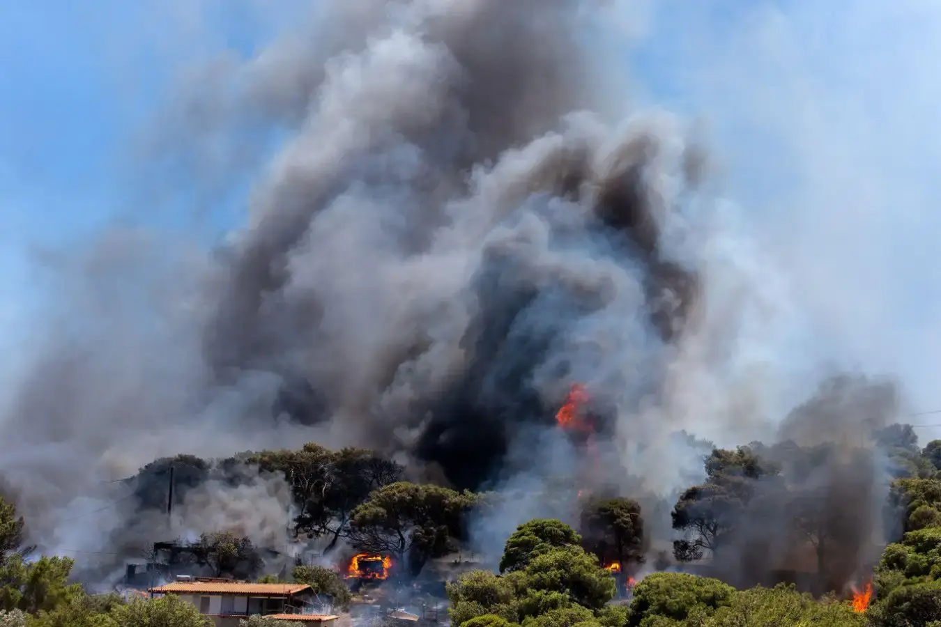 CO2 levels in Earth's atmosphere jumped by a record amount in 2024